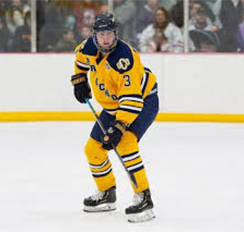 Hoffman adjusted