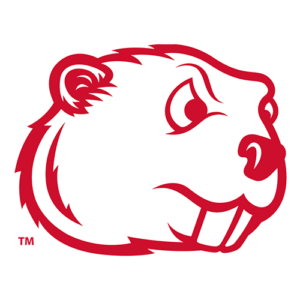 Minot state 3