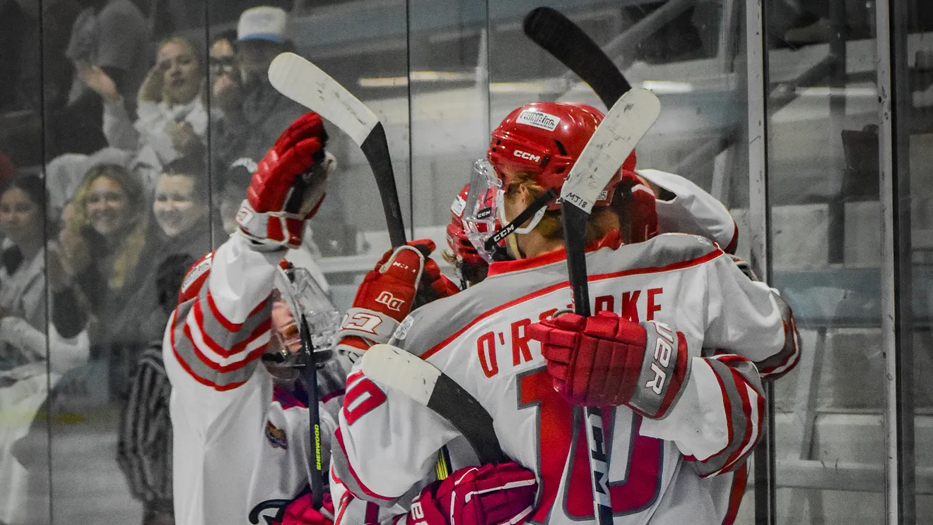 Drury hockeys season ends in overtime at national tournament