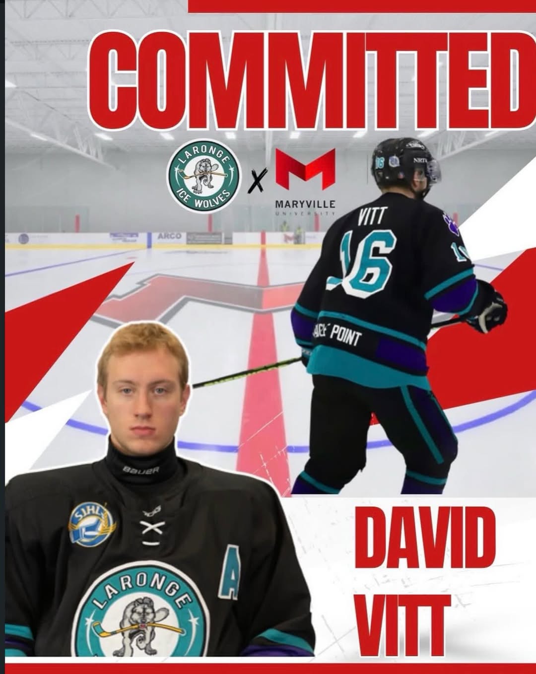 Ice Wolves’ Vitt commits to Maryville (ACHA)