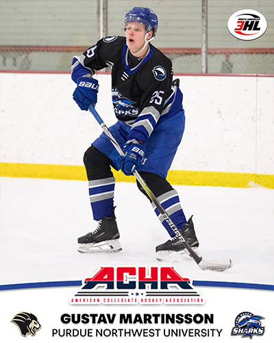 Sharks Forward Martinsson Makes College Commitment