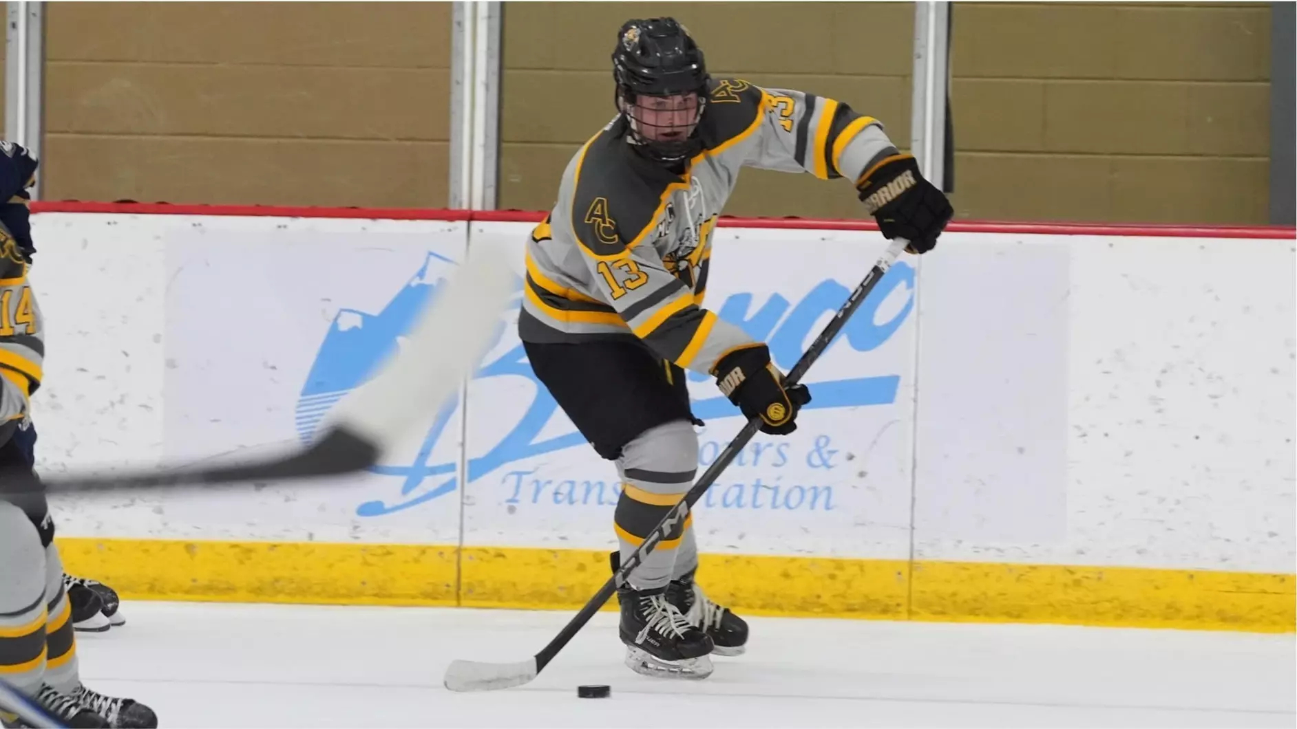 M3 Adrian Hockey Bounces Back with Home Victory Over Aquinas